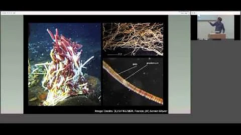 Life at deep sea hydrothermal vents: biodiversity in a new resource frontier