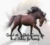 Carrara 6 Pro and dynamic horse hair renders and animations