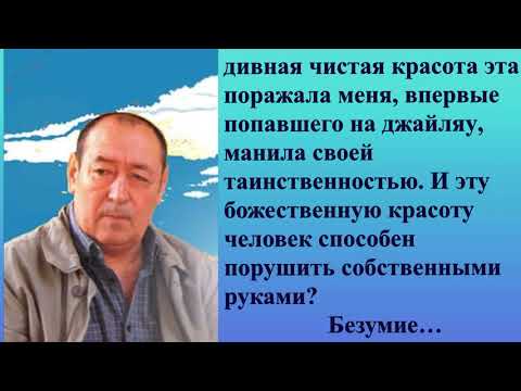 Буктрейлер "День, когда рухнул мир"