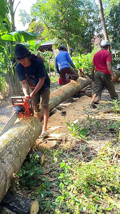 Kejar target #gergajirantai