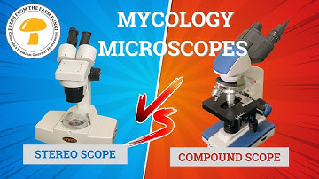 Microscopes in Mycology: Stereo vs Compound microscopes