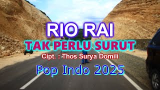 TAK PERLU SURUT _ Rio Rai _ Pop Indo 2025 // Official Audio Video