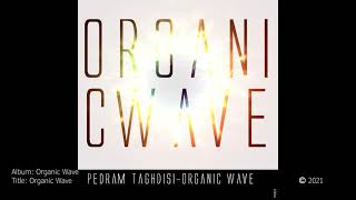 „Organic Wave“ -  Pedram Taghdisi