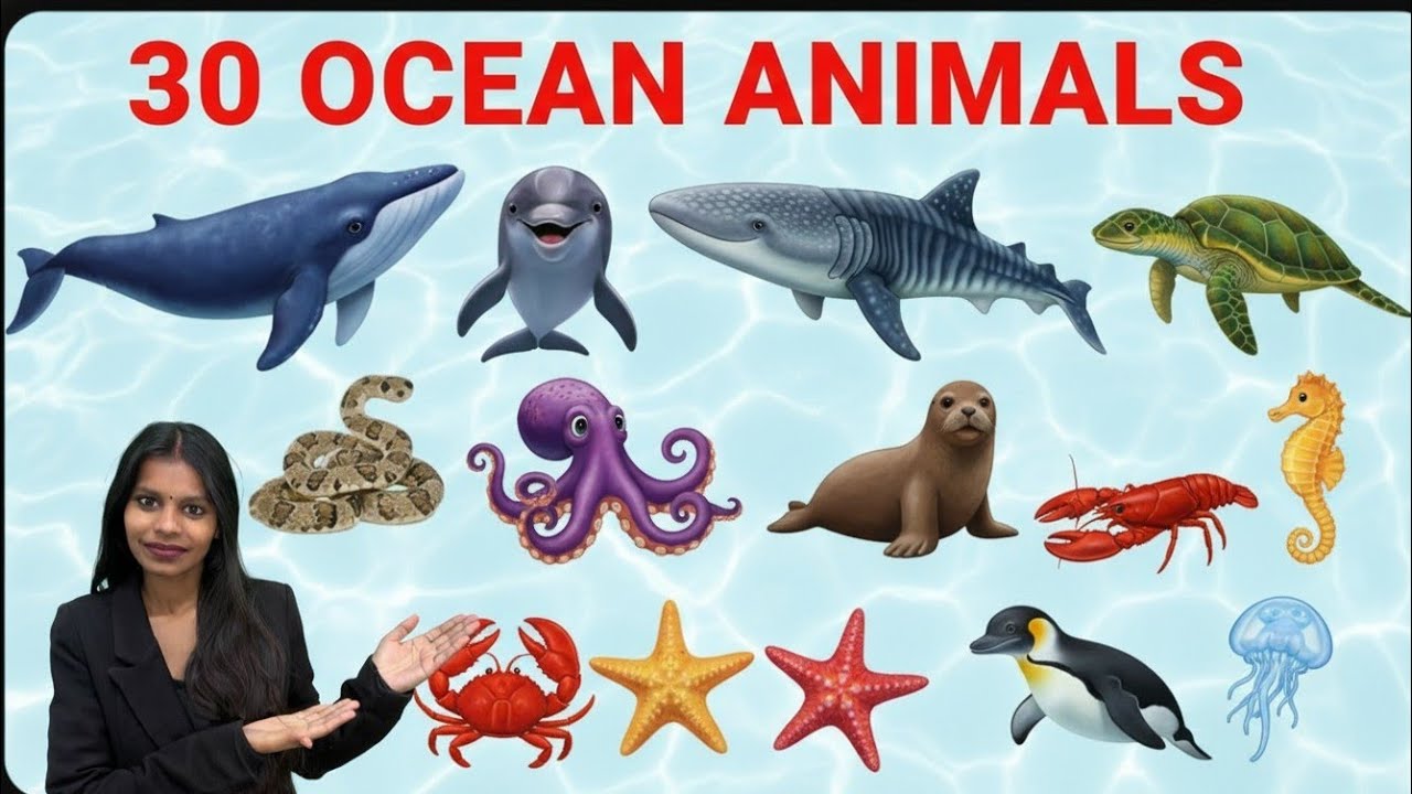 30 Aquatic Animals Name for Kids 🐳 | Hindi & English | Preschool Learning