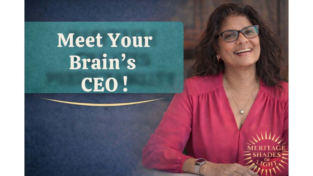 The Brain’s CEO: Episode #2 How the Prefrontal Cortex Runs your Life ...