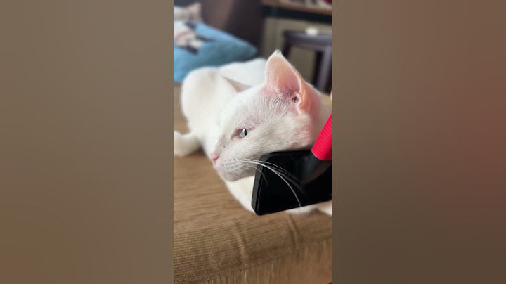 มันฟินค่ะแม่ เอาอีกๆ