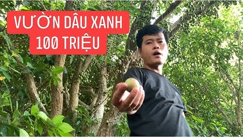 Khương Dừa thăm vườn dâu xanh trái quằn cây trị giá 100 triệu ở Bến Tre