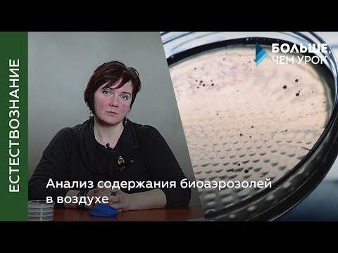 Мастер-класс «Анализ содержания биоаэрозолей в  воздухе»