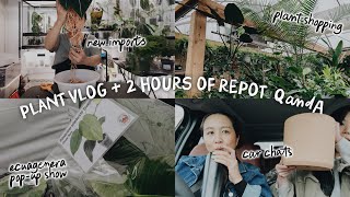 a very planty filled day   2 hours of repotting with Q&A!