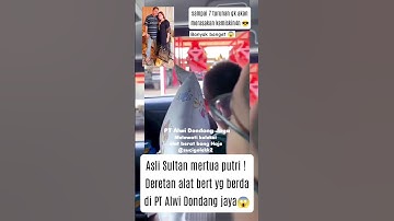 MOMEN SESEORANG PERLIHATKAN ALAT BERAT MERTUA PUTRI ISNARI #beritaartis #putriisnari #hiburan