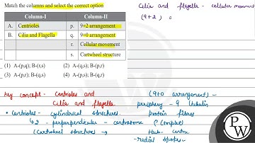 Match the columns and select the correct option \begin{tabular}{|l|l|l|l|} \hline \multicolumn{2...