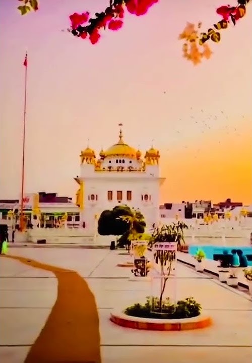 Matlabi eh dunio cho ik baba Nanak sunda pakh mera//WhatsApp dharmic status//Satnam Waheguru ji