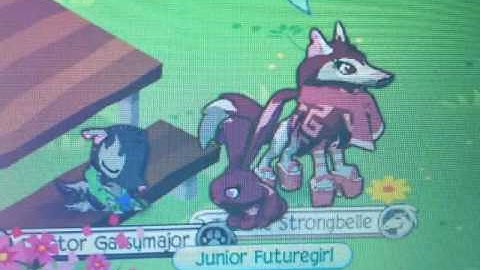 Sad story animaljam