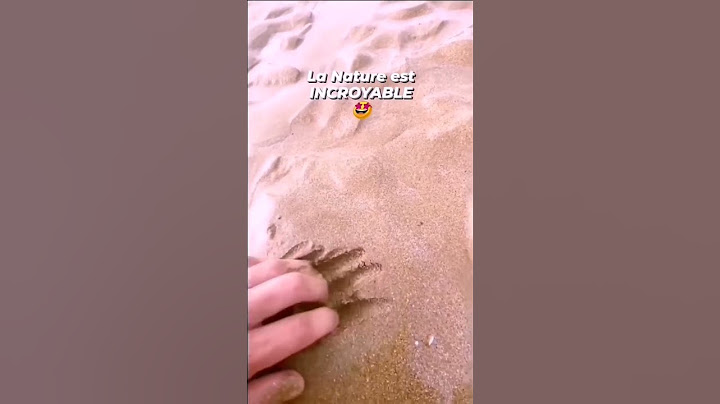 J'en ai les larmes aux yeux! Attendez la fin 🤩 #shorts #short #funny