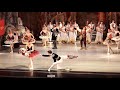 Предложение руки и сердца на сцене - Оперный театр во Львове - Львовская опера