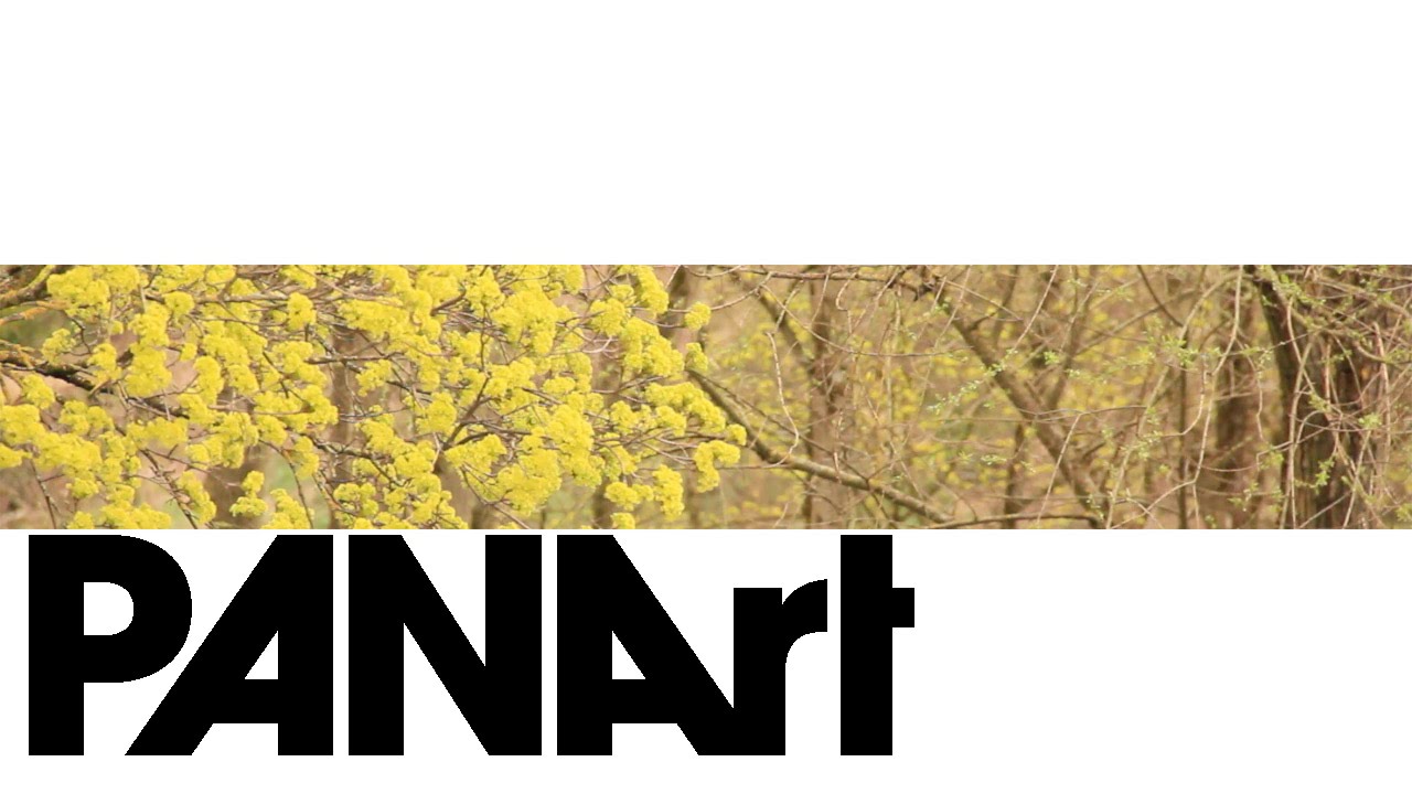 Musik nach der Arbeit VI - PANArt Pangensemble - 9.3.2016