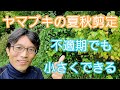 【ヤマブキ(山吹)の剪定】夏以降でも小さくできて、花も咲かせられるお手入れ方法🌻🍁