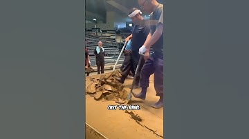 Dohyo Construction EXPLAINED @SUMO-Video.