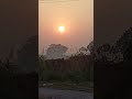 MORNING VIEW 🌄 VIBES #VIRAL #INDIA #REELS #tiktok #SHORTS #DOG #CUTE #VIRAL #SHORTS #SOUND #REELS