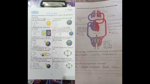 allied school summer vacation pack class 7th science 🧪✅
