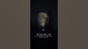 ولئن سألتهم من خلق السماوات والأرض وسخر الشمس والقمر ليقولون الله فأنى يؤفكون |القارئ عبدالرحمن مسعد
