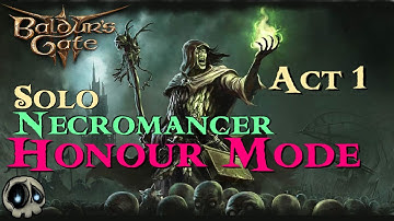 BG3 - Solo Necromancer - Honour Mode!  - Act 1