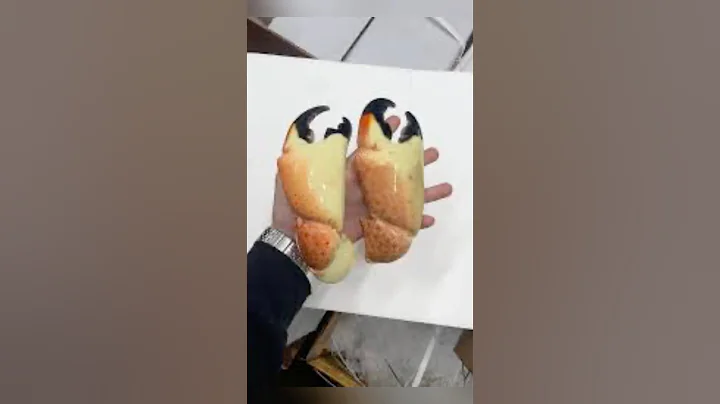 Rare photos you’ve never seen PART 14