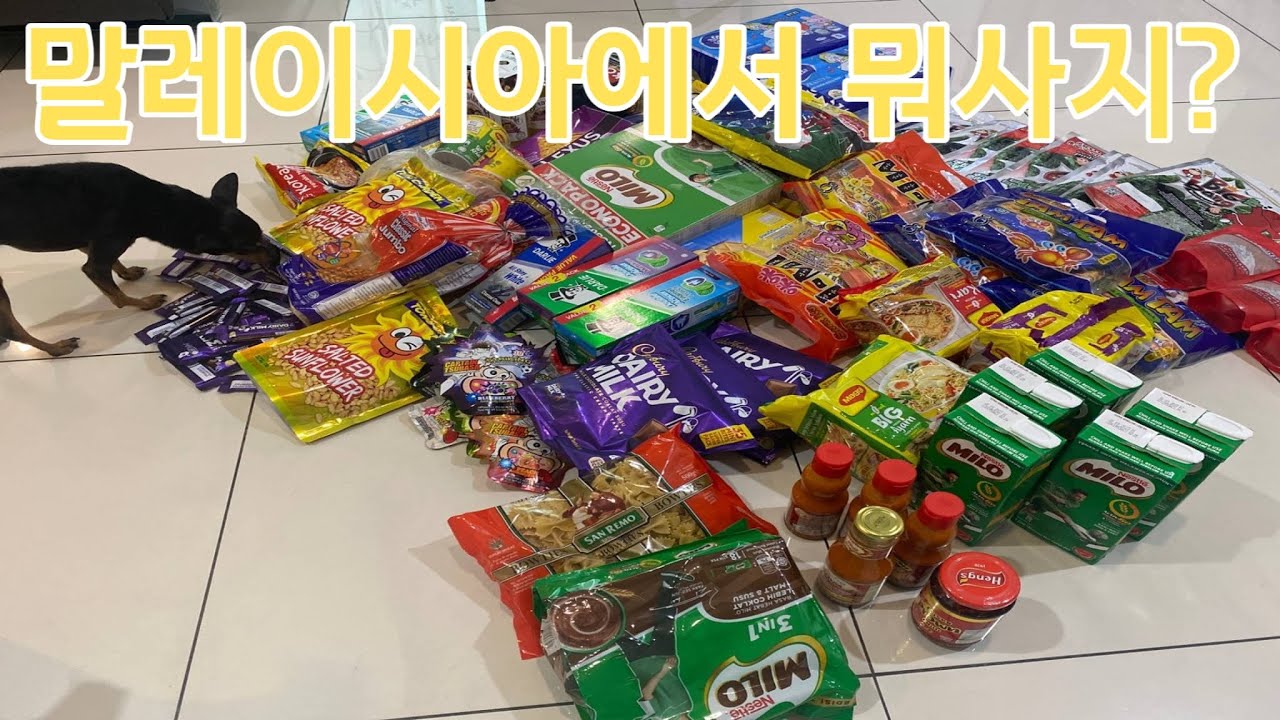 V13. 2022 말레이시아에서 뭐 사가지? Tesco Lotus shopping with me. 말레이시아 여행 뭐 사오지? 뭐 사지?