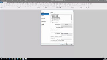 Revit Options