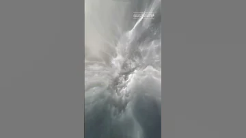 اسم ومعنى عنود 