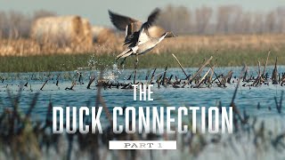 The Duck Connection Part 1 TEASER - Delta Waterfowl