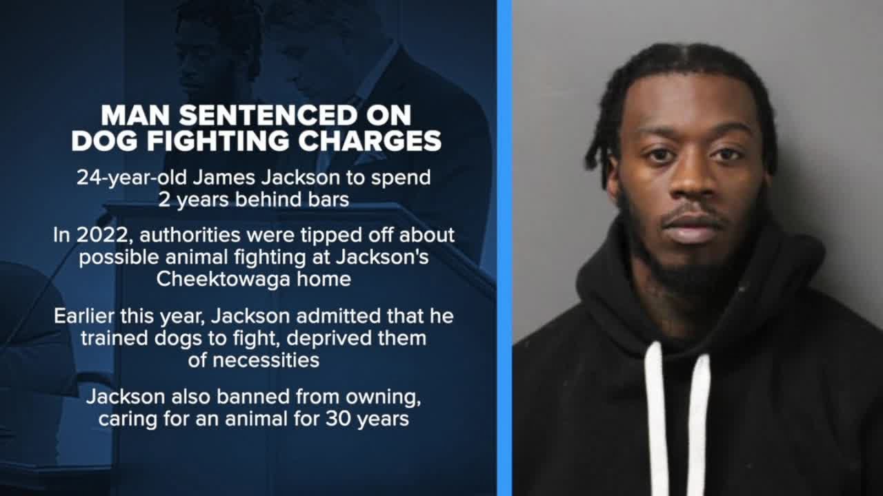 Cheektowaga man sentenced on animal cruelty charges after dog fighting ...