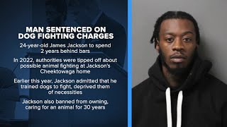 Cheektowaga man sentenced on animal cruelty charges after dog fighting investigation