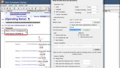CaseWare Financials QuickVid: DIY Period and Balance Selector