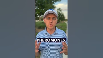 #pheromone #lossofsmell #lossoftaste #biohacking #intimacy