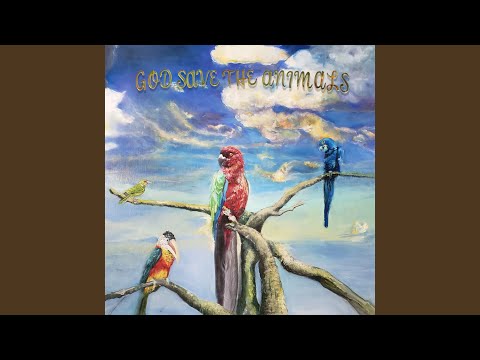 Early Morning Waiting - Alex G