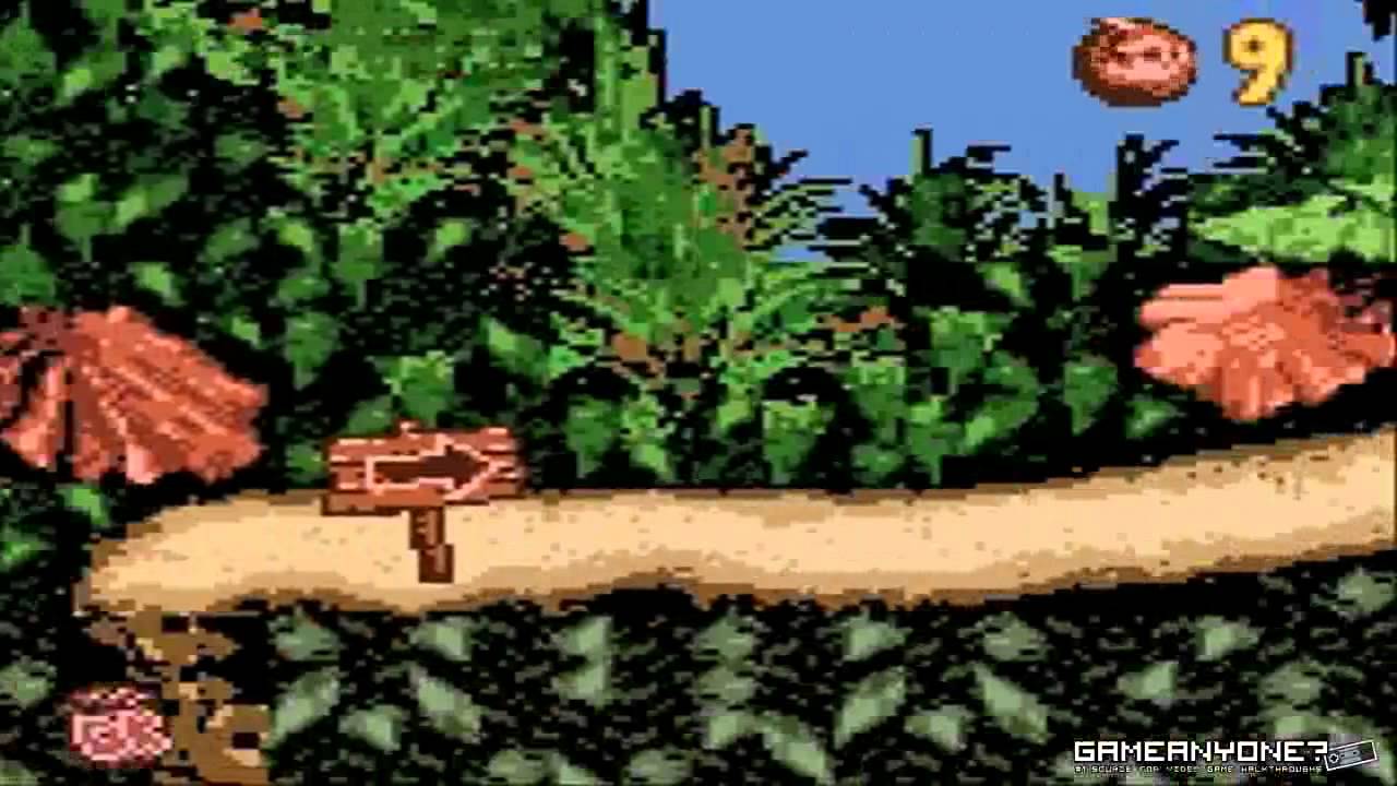 Bærbar marmelade plads Old] Donkey Kong Country (Gameboy Color) Part 1 - YouTube