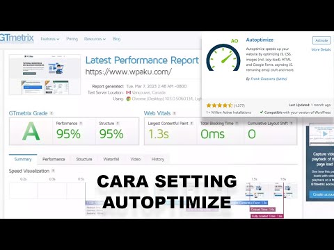 Cara Setting Autoptimize | Plugin Optimasi JavaScript dan CSS di WordPress