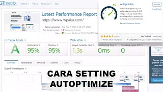 Cara Setting Autoptimize | Plugin Optimasi JavaScript dan CSS di WordPress