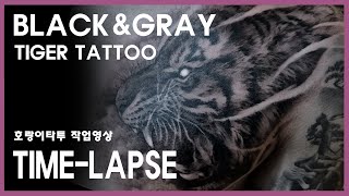 [홍대타투] 블랙앤그레이 가슴 호랑이 타투 작업 과정 Tiger Tattoo Time-Lapse