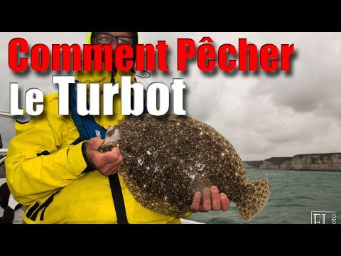 Vidéo: Où pêche-t-on le turbot ?