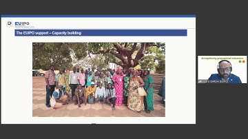 Strengthening geographical indications -  Session 3, Panel 4 - The global dimension of GIs