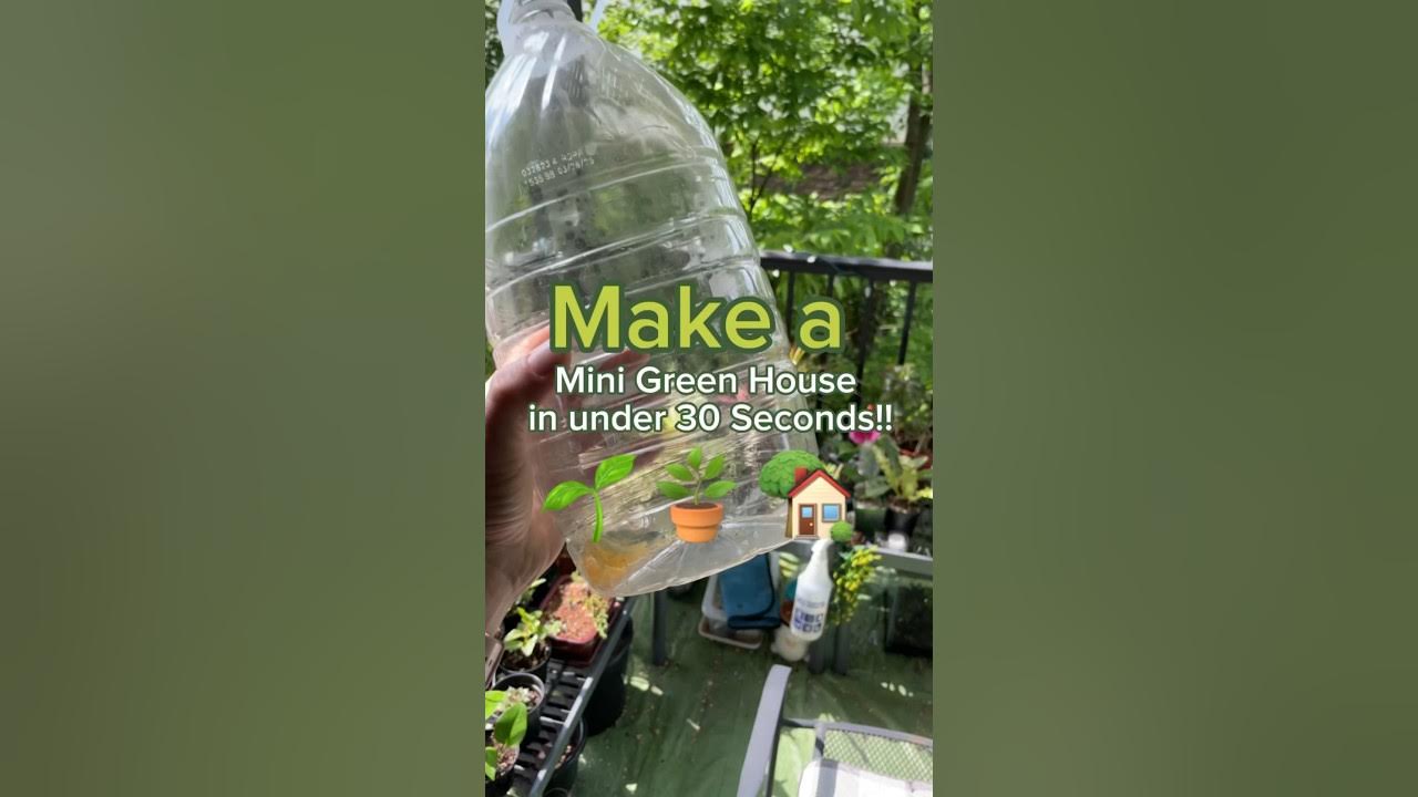 30-Second Mini Green House!!! π±πͺ΄π #plants #diy #howto #greenhouse #plantlover #planttherapy 30-Second Mini Green House!!! π±πͺ΄π #plants #diy #howto #greenhouse #plantlover #planttherapy