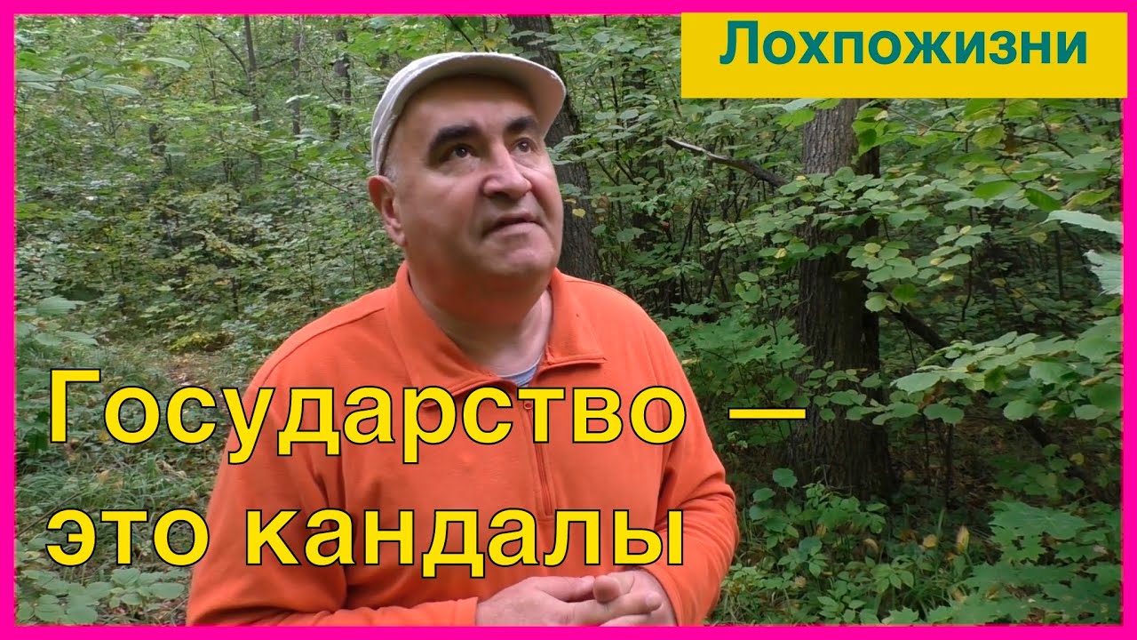 Лохпожизни канал ютуб последнее