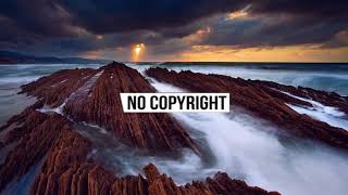 Xad - Birds [No Copyright]