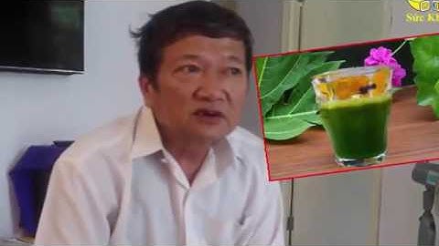 Công Dụng Chữa Bệnh Gan Hiệu Quả Từ Cây An Xoa