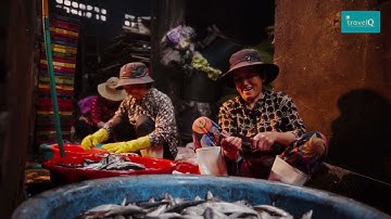 CẢNG HÀM TỬ – LÀNG NGHỀ HẤP CÁ TRUYỀN THỐNG | KHÁM PHÁ LÀNG CHÀI BÌNH ĐỊNH