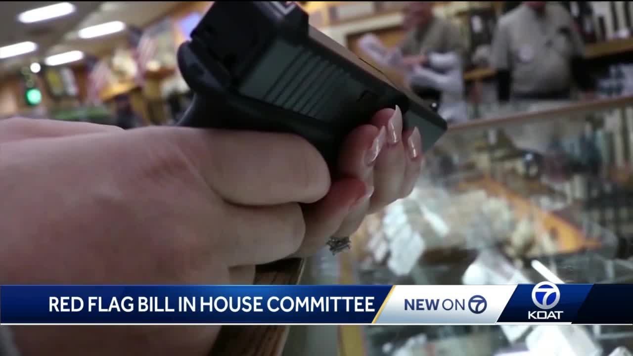 Red Flag Bill passes House committee - YouTube