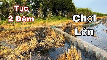 Chơi Lớn: Dùng 30 cái lú túc ếch bằng loa – Trúng  Toàn Ếch Chúa