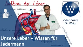 Unsere Leber  Gesünder leben durch Leber reinigen? Alles über Aufbau, Funktionen & Leberkrankheiten